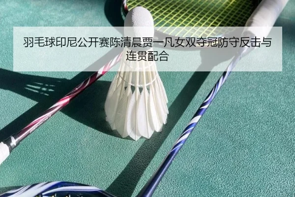 羽毛球印尼公开赛陈清晨贾一凡女双夺冠防守反击与连贯配合